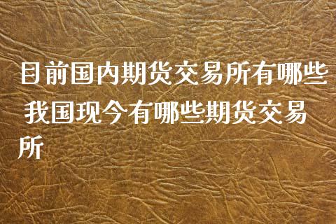 目前国内期货交易所有哪些 我国现今有哪些期货交易所_https://www.xyskdbj.com_期货手续费_第1张