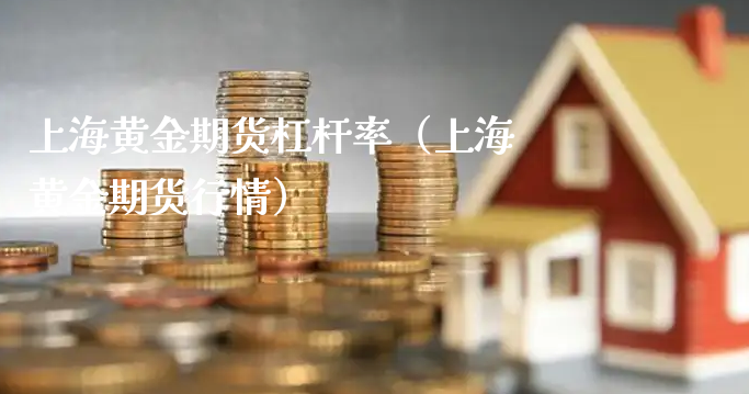 上海黄金期货杠杆率（上海黄金期货行情）_https://www.xyskdbj.com_期货平台_第1张