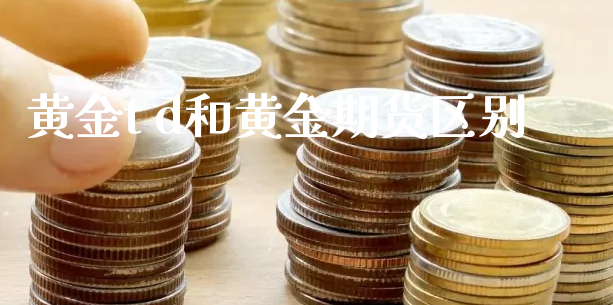 黄金t d和黄金期货区别_https://www.xyskdbj.com_原油行情_第1张