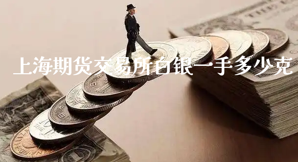 上海期货交易所白银一手多少克_https://www.xyskdbj.com_原油直播_第1张