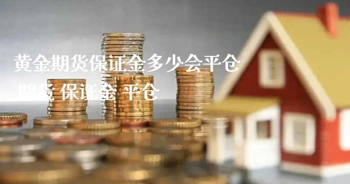 黄金期货保证金多少会平仓 期货 保证金 平仓_https://www.xyskdbj.com_期货手续费_第1张