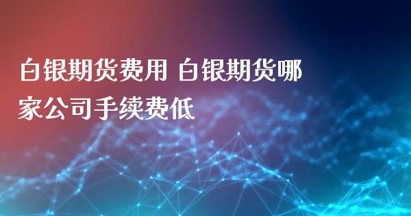 白银期货费用 白银期货哪家公司手续费低_https://www.xyskdbj.com_期货学院_第1张