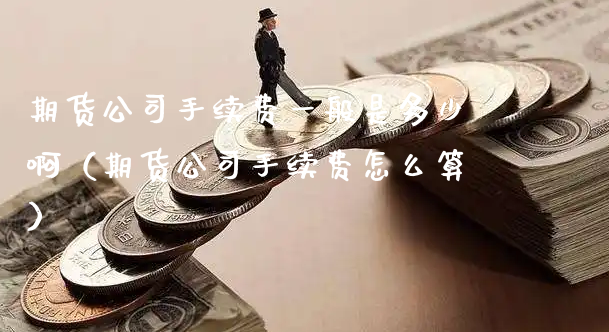 期货公司手续费一般是多少啊（期货公司手续费怎么算）_https://www.xyskdbj.com_期货平台_第1张