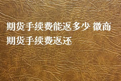 期货手续费能返多少 徽商期货手续费返还_https://www.xyskdbj.com_期货学院_第1张