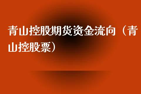 青山控股期货资金流向（青山控股票）_https://www.xyskdbj.com_期货平台_第1张