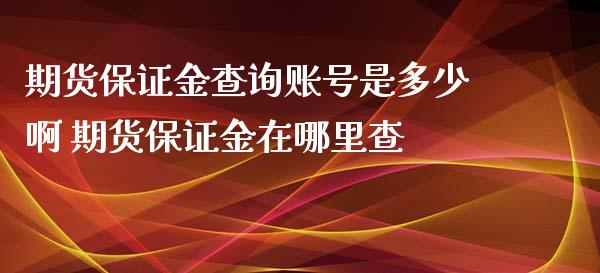 期货保证金查询账号是多少啊 期货保证金在哪里查_https://www.xyskdbj.com_期货学院_第1张