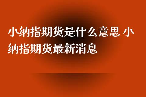 小纳指期货是什么意思 小纳指期货最新消息_https://www.xyskdbj.com_期货平台_第1张