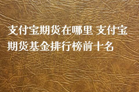 支付宝期货在哪里 支付宝期货基金排行榜前十名_https://www.xyskdbj.com_期货学院_第1张