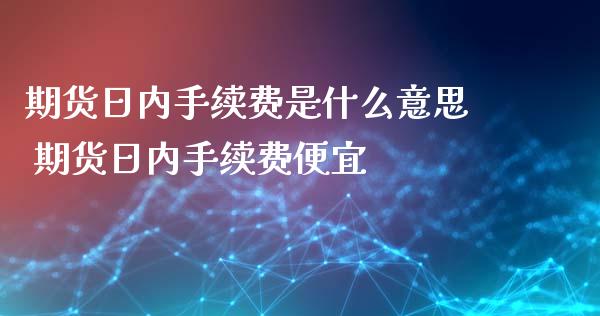 期货日内手续费是什么意思 期货日内手续费便宜_https://www.xyskdbj.com_期货学院_第1张