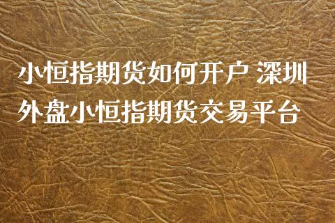 小恒指期货如何开户 深圳外盘小恒指期货交易平台_https://www.xyskdbj.com_期货学院_第1张