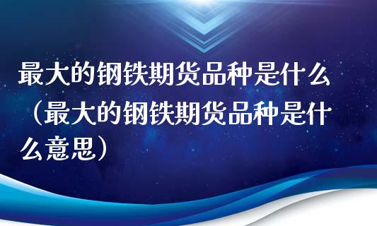 最大的钢铁期货品种是什么（最大的钢铁期货品种是什么意思）_https://www.xyskdbj.com_期货学院_第1张