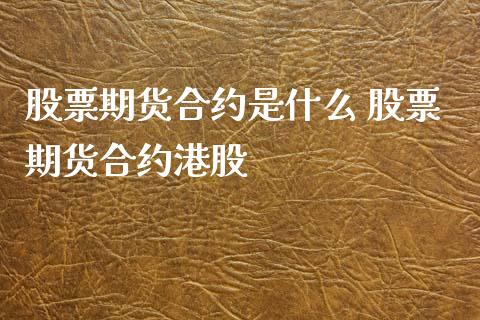 股票期货合约是什么 股票期货合约港股_https://www.xyskdbj.com_期货学院_第1张