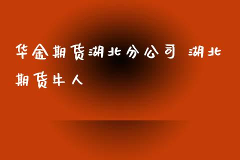 华金期货湖北分公司 湖北期货牛人_https://www.xyskdbj.com_期货行情_第1张