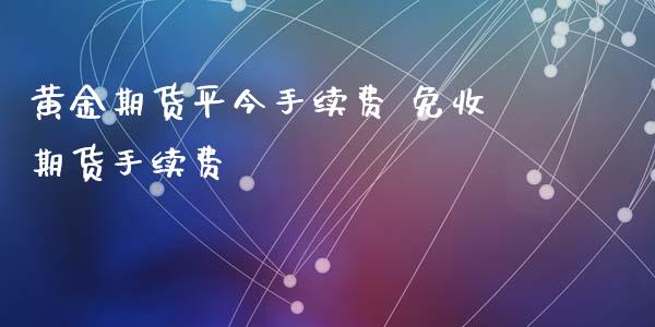 黄金期货平今手续费 免收期货手续费_https://www.xyskdbj.com_期货行情_第1张