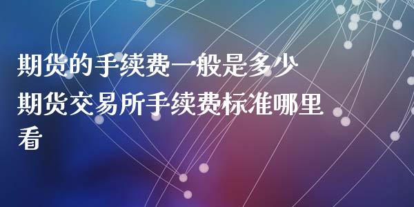 期货的手续费一般是多少 期货交易所手续费标准哪里看_https://www.xyskdbj.com_期货学院_第1张