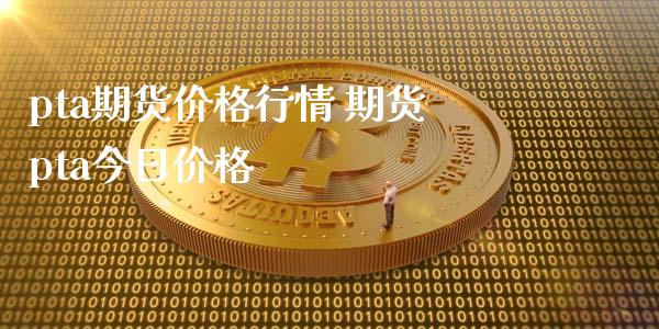 pta期货价格行情 期货pta今日价格_https://www.xyskdbj.com_期货平台_第1张