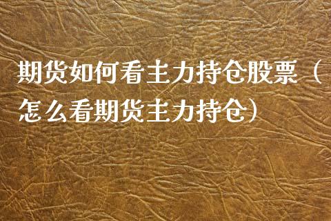 期货如何看主力持仓股票（怎么看期货主力持仓）_https://www.xyskdbj.com_期货学院_第1张