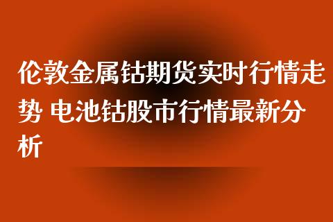 伦敦金属钴期货实时行情走势 电池钴股市行情最新分析_https://www.xyskdbj.com_原油行情_第1张