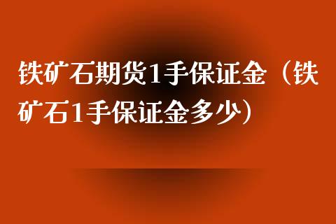 铁矿石期货1手保证金（铁矿石1手保证金多少）_https://www.xyskdbj.com_期货学院_第1张