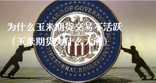 为什么玉米期货交易不活跃（玉米期货为什么大涨）_https://www.xyskdbj.com_原油行情_第1张