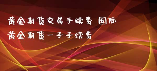 黄金期货交易手续费 国际黄金期货一手手续费_https://www.xyskdbj.com_期货学院_第1张