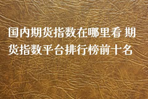 国内期货指数在哪里看 期货指数平台排行榜前十名_https://www.xyskdbj.com_原油直播_第1张