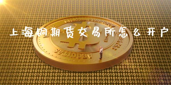 上海铜期货交易所怎么开户_https://www.xyskdbj.com_期货学院_第1张