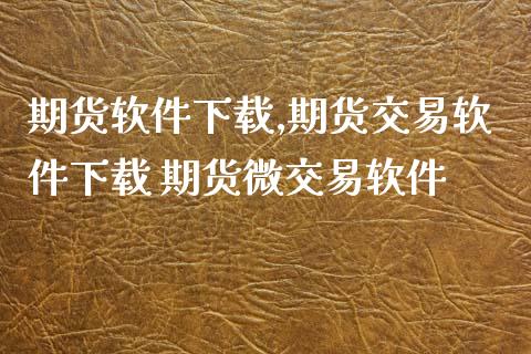 期货软件下载,期货交易软件下载 期货微交易软件_https://www.xyskdbj.com_期货行情_第1张