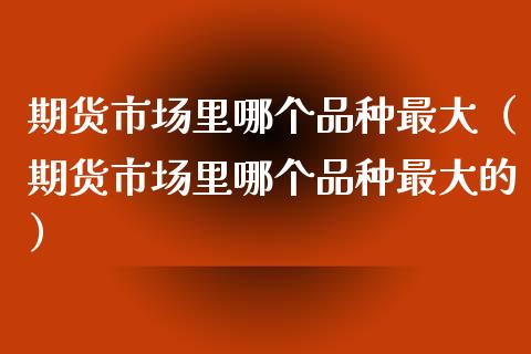 期货市场里哪个品种最大（期货市场里哪个品种最大的）_https://www.xyskdbj.com_期货行情_第1张