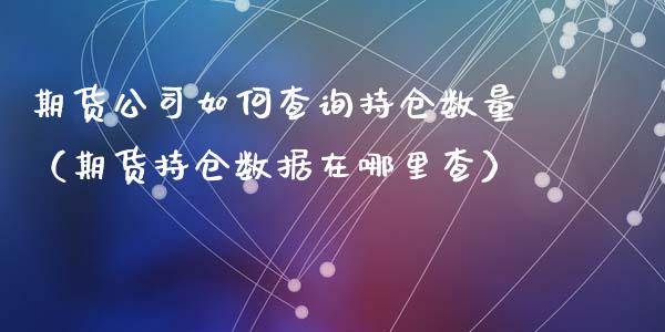 期货公司如何查询持仓数量（期货持仓数据在哪里查）_https://www.xyskdbj.com_原油行情_第1张