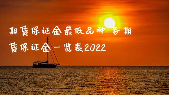 期货保证金最低品种 各期货保证金一览表2022_https://www.xyskdbj.com_期货学院_第1张