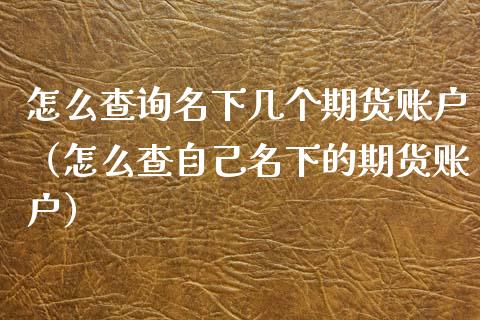 怎么查询名下几个期货账户（怎么查自己名下的期货账户）_https://www.xyskdbj.com_期货行情_第1张