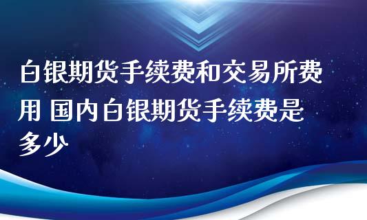 白银期货手续费和交易所费用 国内白银期货手续费是多少_https://www.xyskdbj.com_原油直播_第1张