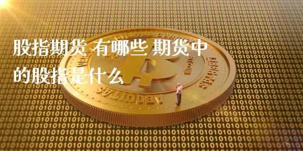 股指期货 有哪些 期货中的股指是什么_https://www.xyskdbj.com_期货学院_第1张