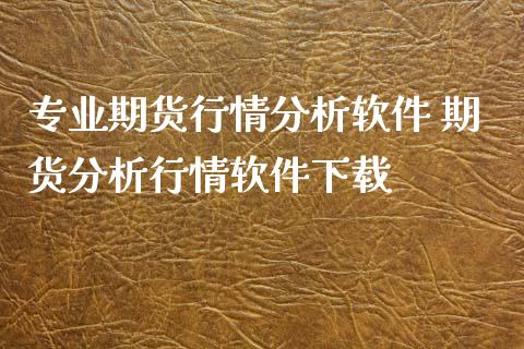 专业期货行情分析软件 期货分析行情软件下载_https://www.xyskdbj.com_期货平台_第1张