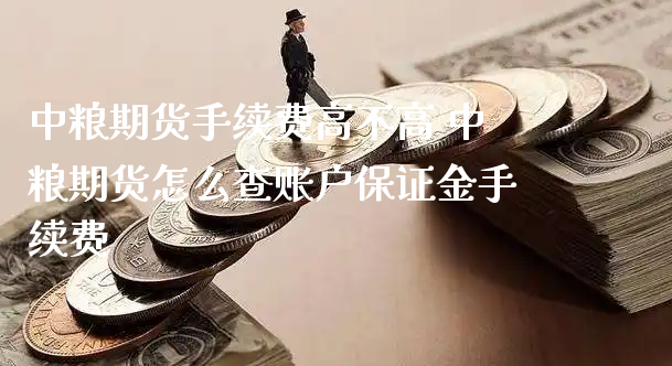 中粮期货手续费高不高 中粮期货怎么查账户保证金手续费_https://www.xyskdbj.com_期货平台_第1张