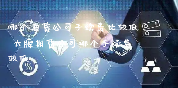 哪个期货公司手续费比较低 大牌期货公司哪个手续费较低_https://www.xyskdbj.com_期货学院_第1张