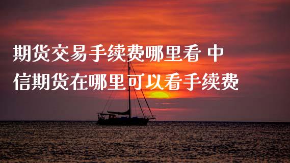 期货交易手续费哪里看 中信期货在哪里可以看手续费_https://www.xyskdbj.com_原油直播_第1张