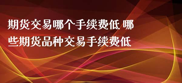 期货交易哪个手续费低 哪些期货品种交易手续费低_https://www.xyskdbj.com_期货学院_第1张