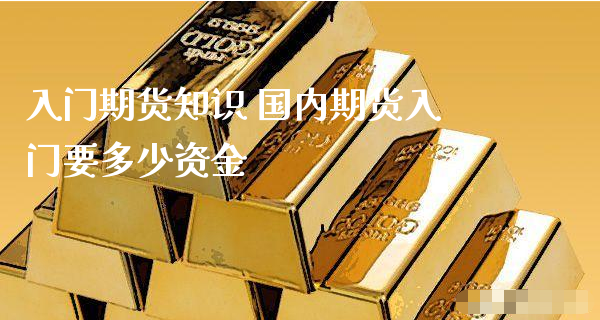 入门期货知识 国内期货入门要多少资金_https://www.xyskdbj.com_期货手续费_第1张