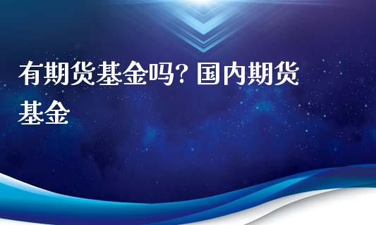 有期货基金吗? 国内期货基金_https://www.xyskdbj.com_期货学院_第1张