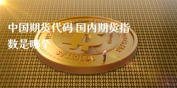 中国期货代码 国内期货指数是哪个_https://www.xyskdbj.com_期货学院_第1张