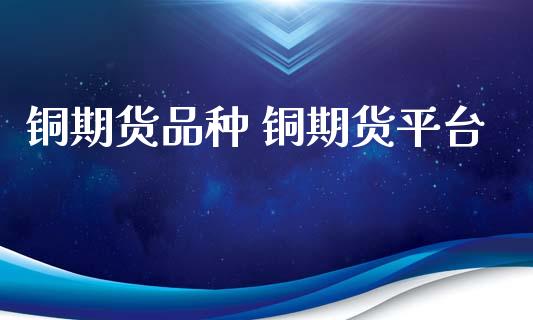 铜期货品种 铜期货平台_https://www.xyskdbj.com_期货学院_第1张