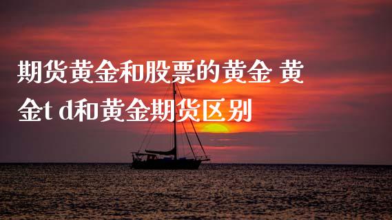 期货黄金和股票的黄金 黄金t d和黄金期货区别_https://www.xyskdbj.com_期货学院_第1张