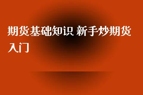 期货基础知识 新手炒期货入门_https://www.xyskdbj.com_期货学院_第1张