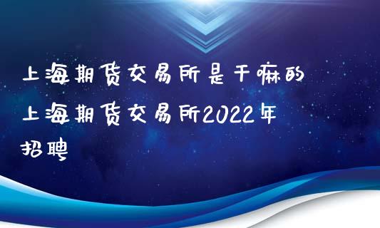 上海期货交易所是干嘛的 上海期货交易所2022年招聘_https://www.xyskdbj.com_期货学院_第1张