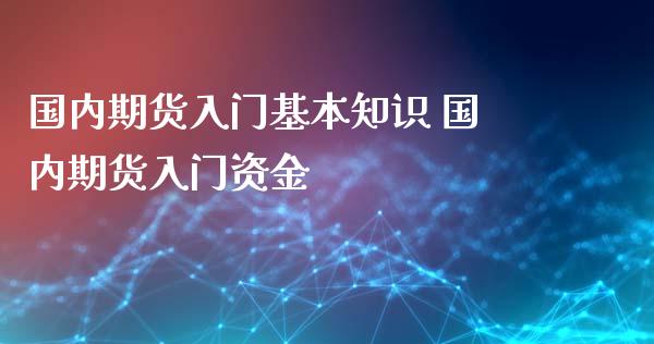 国内期货入门基本知识 国内期货入门资金_https://www.xyskdbj.com_期货手续费_第1张