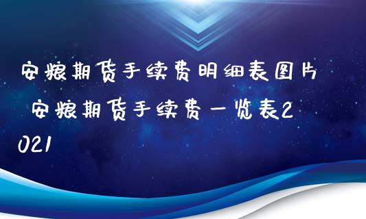 安粮期货手续费明细表图片 安粮期货手续费一览表2021_https://www.xyskdbj.com_原油行情_第1张