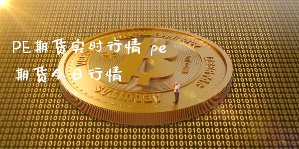 PE期货实时行情 pe 期货今日行情_https://www.xyskdbj.com_期货行情_第1张