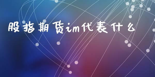 股指期货im代表什么_https://www.xyskdbj.com_期货学院_第1张